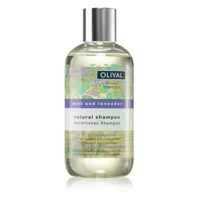 Olival Natural Mint and Lavender přírodní šampon pro suché a poškozené vlasy 250 ml