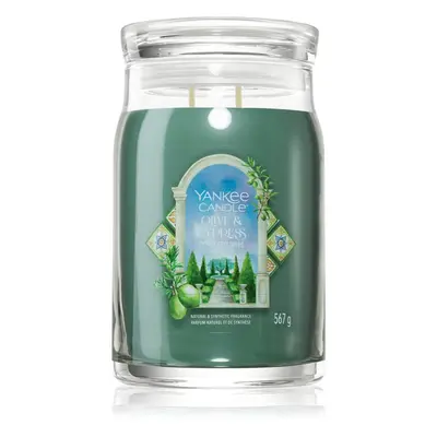 Yankee Candle Olive & Cypress vonná svíčka 567 g