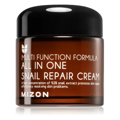 Mizon Multi Function Formula Snail regenerační krém s filtrátem hlemýždího sekretu 92% 75 ml