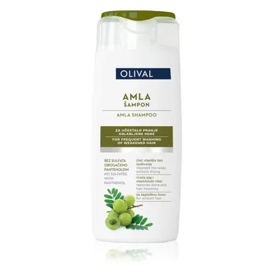 Olival Amla hydratační šampon pro posílení vlasů 250 ml