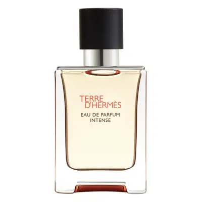 HERMÈS Terre d’Hermès parfémovaná voda intense pro muže 50 ml