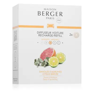 Maison Berger Paris Citrus Breeze vůně do auta náhradní náplň 2x17 g