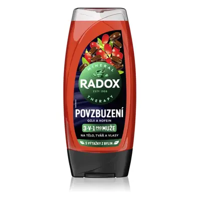 Radox Men Invigorating sprchový gel pro muže 3 v 1 225 ml