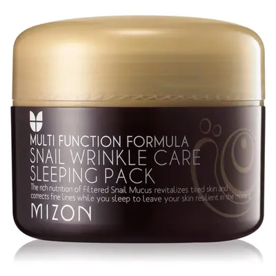 Mizon Multi Function Formula Snail regenerační pleťová maska se šnečím extraktem 80 ml