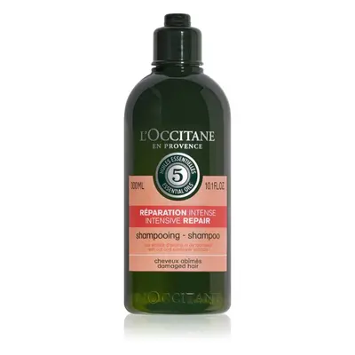 L’Occitane Aromachologie intenzivně regenerační šampon pro suché a poškozené vlasy 300 ml