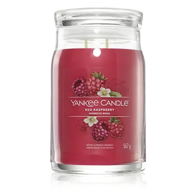 Yankee Candle Red Raspberry vonná svíčka Signature 567 g