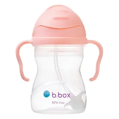 B.Box Gelato Cup hrnek s brčkem Tutti Frutti 6m+ 240 ml