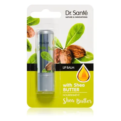 Dr. Santé Shea Butter balzám na rty 3,6 g