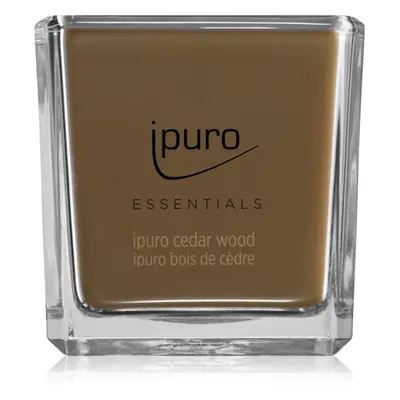 ipuro Essentials Cedar Wood vonná svíčka 125 g