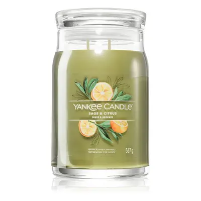 Yankee Candle Sage & Citrus vonná svíčka Signature 567 g