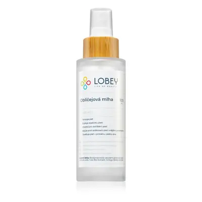 Lobey Skin Care Obličejová Mlha tonizační pleťová mlha 100 ml