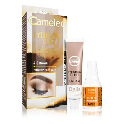 Delia Cosmetics Cameleo krémová profesionální barva na obočí bez amoniaku odstín 4.0 Brown 15 ml