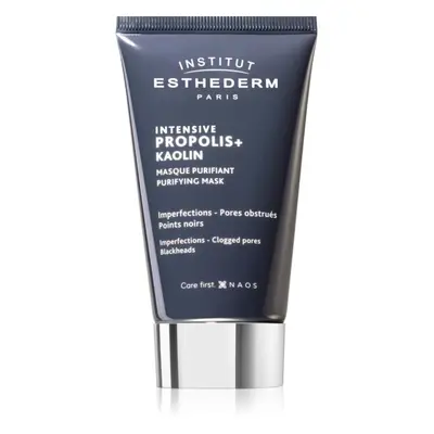 Institut Esthederm Intensive Propolis+ Purifying Mask čisticí maska pro problematickou pleť, akn