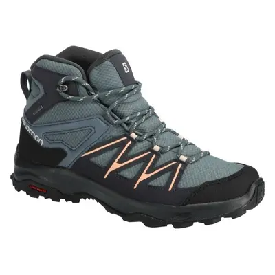 Salomon DAINTREE MID GTX W Dámská turistická obuv, šedá