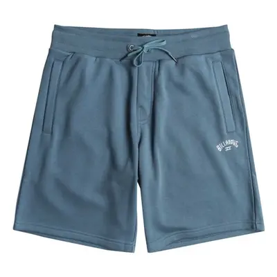 Billabong ARCH SHORT Pánské kraťasy, modrá, velikost