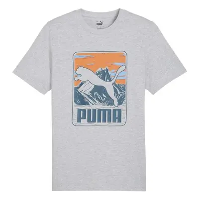 Puma GRAPHIC MOUNTAIN TEE Pánské triko, šedá, velikost