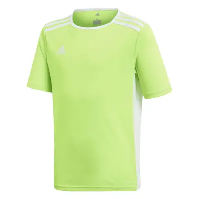 adidas ENTRADA JERSEY Chlapecký fotbalový dres, světle zelená, velikost