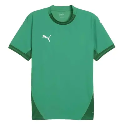 Puma TEAMFINAL JERSEY Pánský fotbalový dres, zelená, velikost