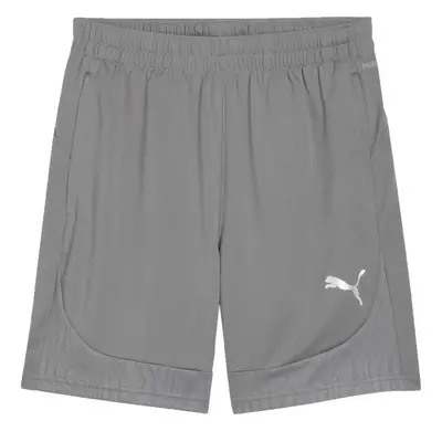 Puma TEAMFINAL TRAINING SHORTS Pánské sportovní kraťasy, šedá, velikost