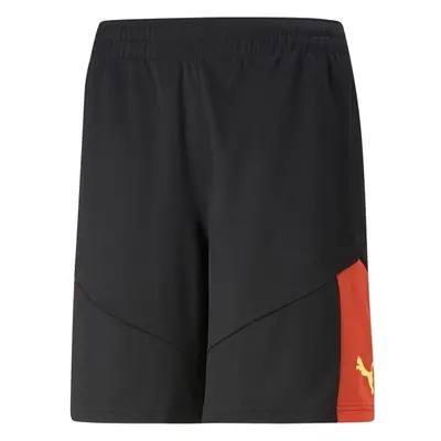 Puma INDIVIDUALFINAL TRAINING SHORTS Fotbalové šortky, černá, velikost