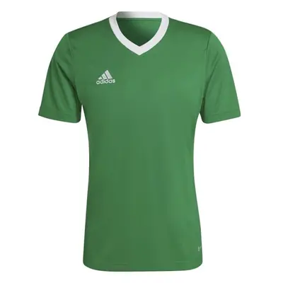 adidas ENTRADA JERSEY Pánský fotbalový dres, zelená, velikost