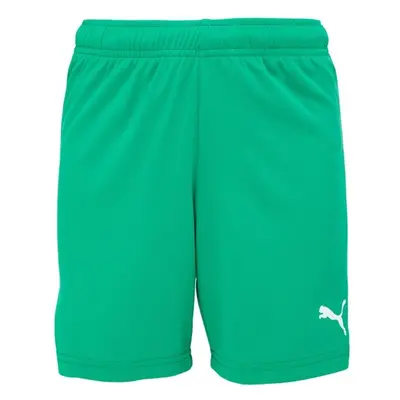 Puma TEAMRISE SHORTS Juniorské šortky, zelená, velikost