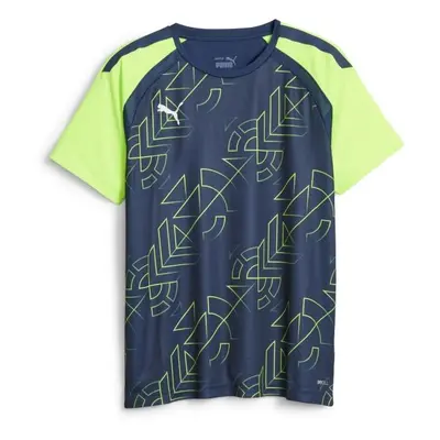 Puma TEAMLIGA GRAPHIC JERSEY TEE Pánské fotbalové triko, modrá, velikost