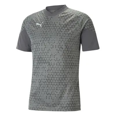 Puma TEAMCUP TRAINING JERSEY TEE Pánský dres, šedá, velikost