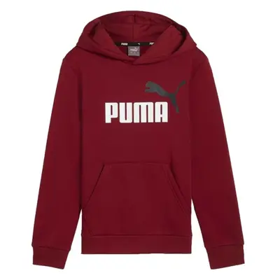 Puma ESSENTIALS + BIG LOGO HOODIE Chlapecká mikina, vínová, velikost