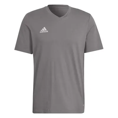 adidas ENTRADA TEE Pánské triko, šedá, velikost