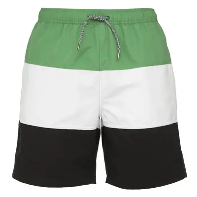 Russell Athletic SHORTS Pánské šortky, zelená, velikost