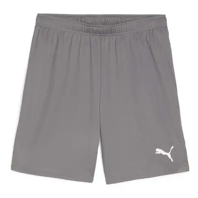 Puma TEAMGOAL SHORTS Pánské fotbalové šortky, šedá, velikost