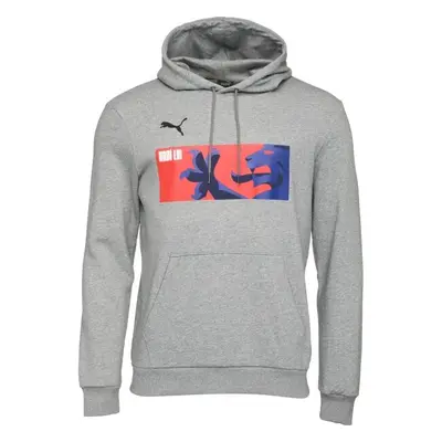 Puma HOODIE Pánská mikina, šedá, velikost