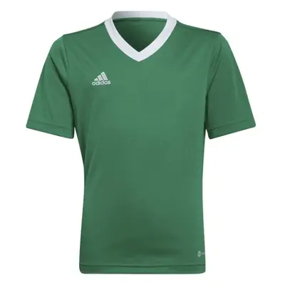 adidas ENTRADA JERSEY Juniorský fotbalový dres, zelená, velikost