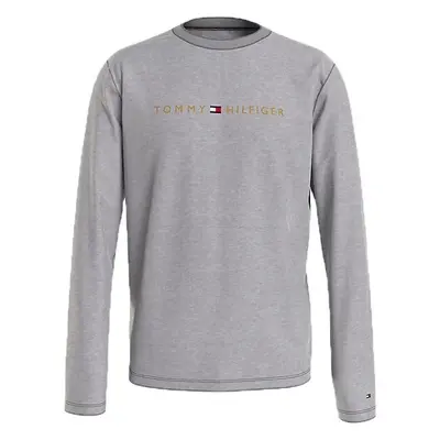 Tommy Hilfiger TOMMY ORIGINAL-CN LS TEE LOGO Pánské triko dlouhým rukávem, šedá, velikost