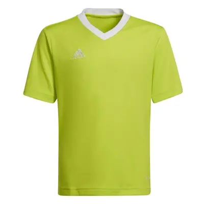 adidas ENTRADA JERSEY Juniorský fotbalový dres, světle zelená, velikost