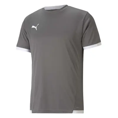 Puma TEAM LIGA JERSEY TEE Pánské fotbalové triko, šedá, velikost