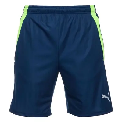 Puma TEAMLIGA TRAINING SHORTS Pánské fotbalové šortky, modrá, velikost