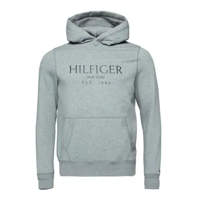 Tommy Hilfiger BIG HILFIGER HOODY Pánská mikina, šedá, velikost