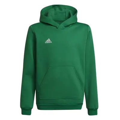 adidas ENTRADA SWEAT HOODIE Juniorská fotbalová mikina, zelená, velikost