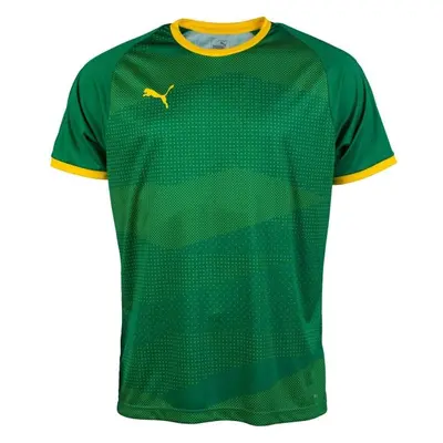 Puma KC LIGA JERSEY GRAPHIC Pánský fotbalový dres, zelená, velikost