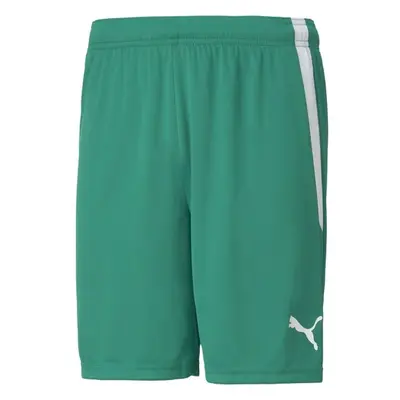 Puma TEAM LIGA SHORTS Pánské šortky, zelená, velikost