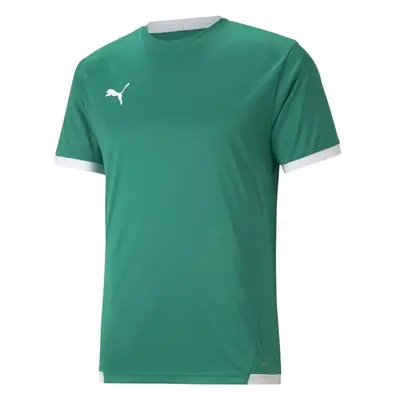 Puma TEAM LIGA JERSEY TEE Pánské fotbalové triko, zelená, velikost