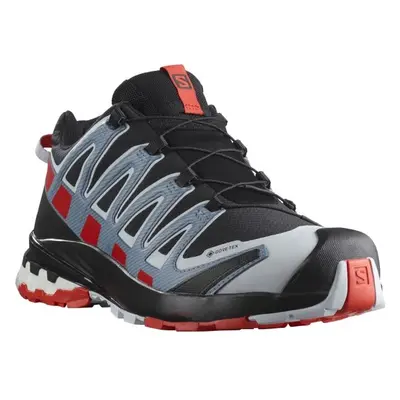 Salomon XA PRO 3D V8 GTX Pánská trailová obuv, černá