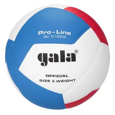 GALA BV5125 PRO-LINE Volejbalový míč, bílá, velikost