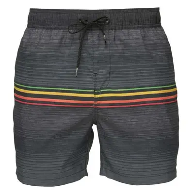 Billabong ALL DAY HTR STRIPE LB Pánské plavky, tmavě modrá, velikost