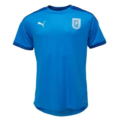 Puma TEAM FINAL TRAINING JERSEY TEE Pánské tréninkové triko, modrá, velikost