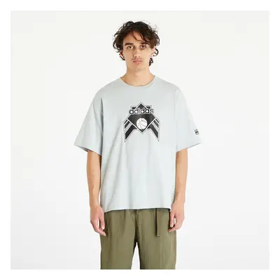 Tričko adidas Originals Graphic Tee Wonder Silver