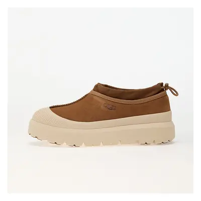 Tenisky UGG Tasman Weather Hybrid Chestnut/ Whitecap EUR