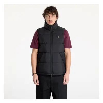 Dickies Waldenburg Vest Black